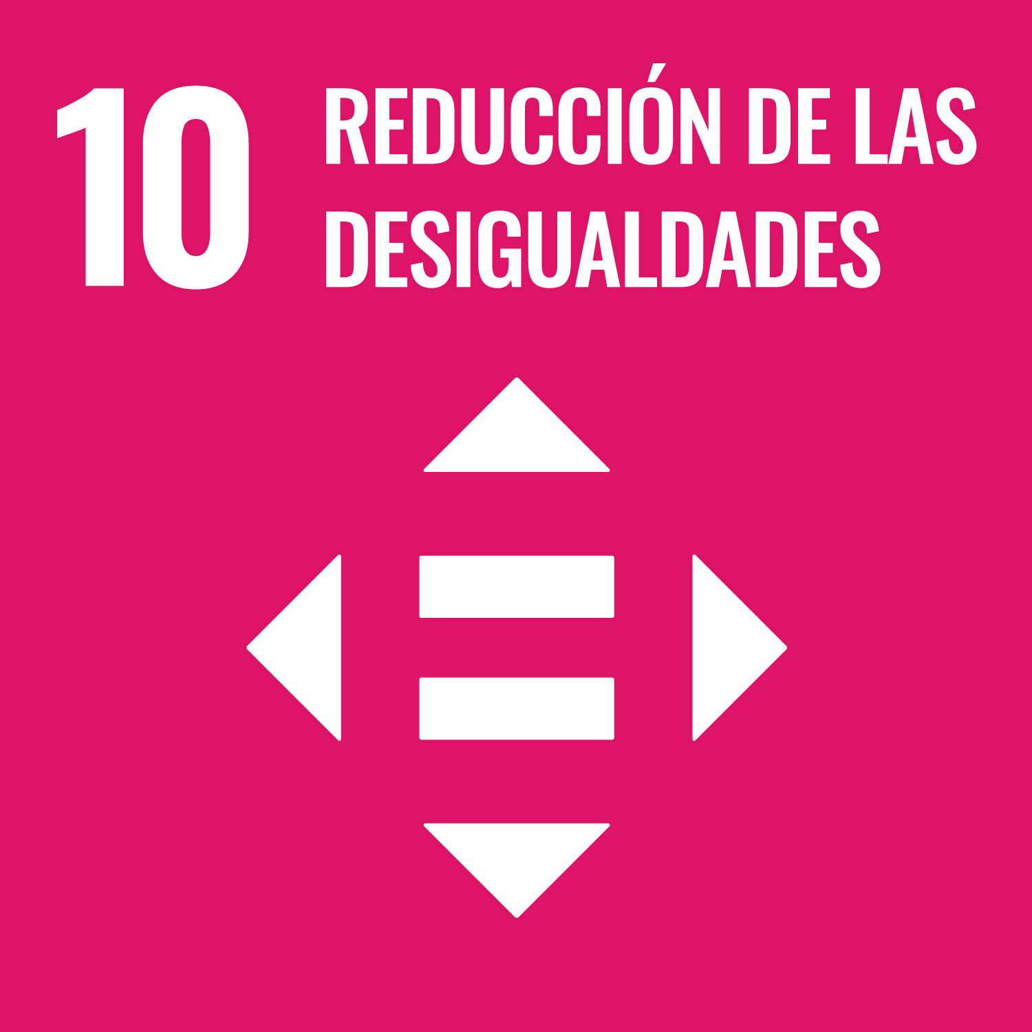 10 Reducción de las desigualdades