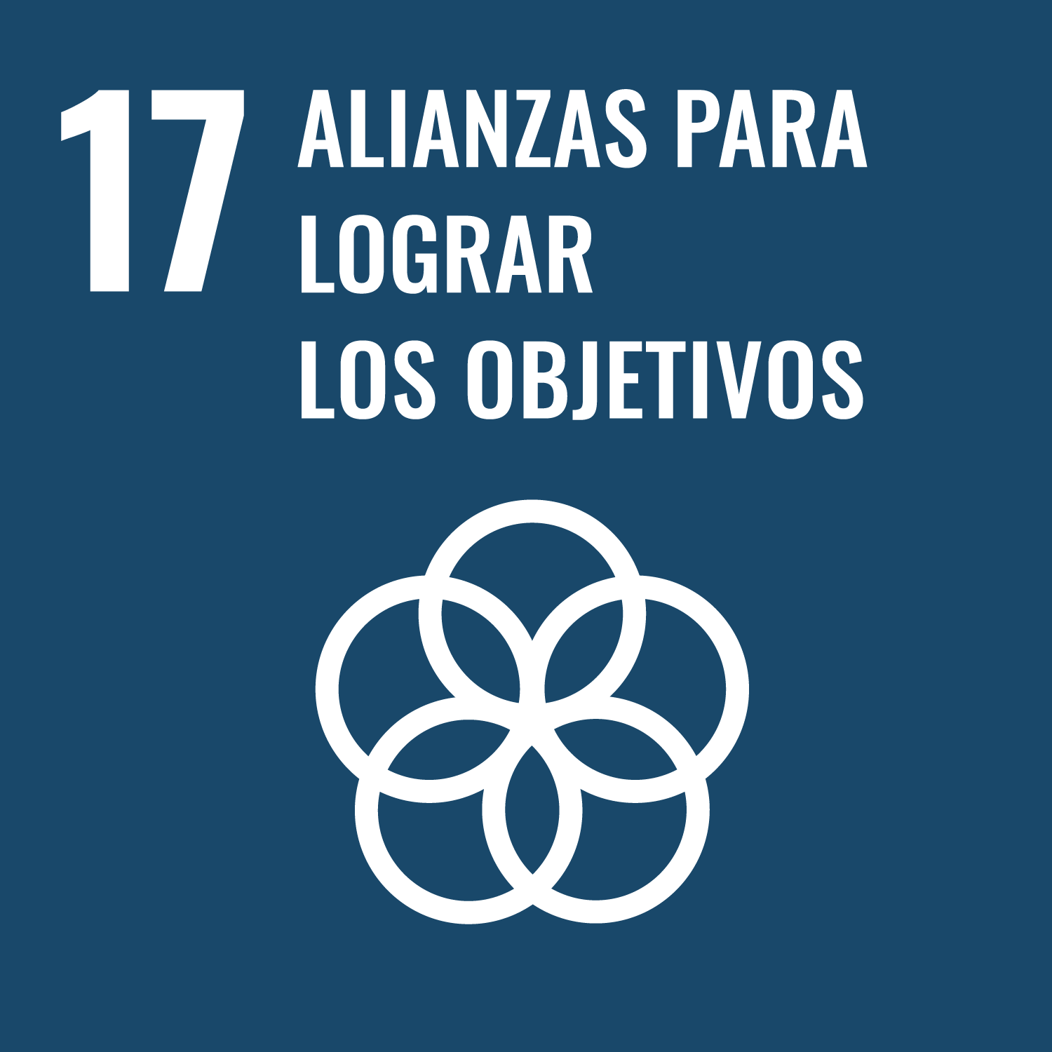 17 Alianzas para lograr los objetivos