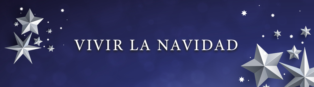 Lotes de Navidad - Una Navidad para agradecer