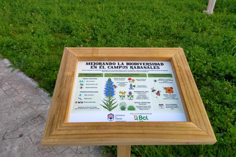 jardinería sostenible