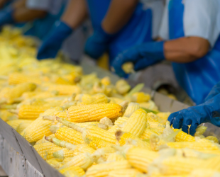 industria agroalimentaria