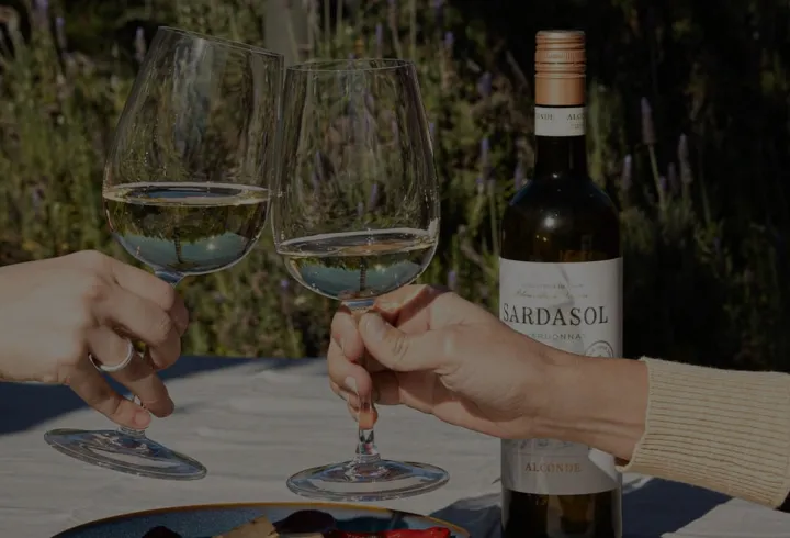 Dos personas brindan con vino de un pack vermeet