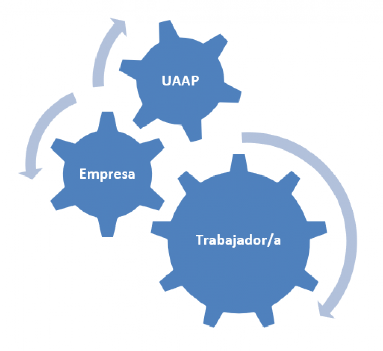 Gráfico sobre las unidades de apoyo