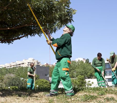 Varios jardineros de Grupo SIFU realizando tareas de limpieza en una zona forestal