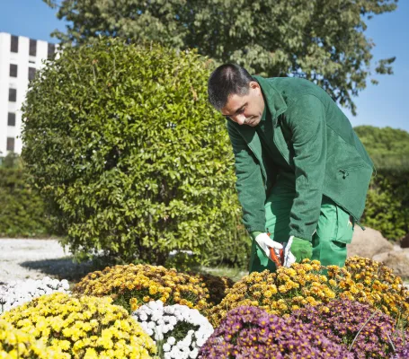 Un jardinero de Grupo SIFU trabajando en un parterre