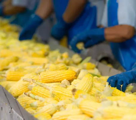 industria agroalimentaria