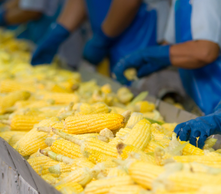industria agroalimentaria