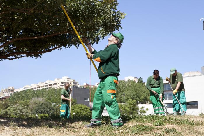 Varios jardineros de Grupo SIFU realizando tareas de limpieza en una zona forestal